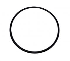 O-Ring für Klarsichteinsatz für Speck BADU Top II und alle Gamma Poolpumpe