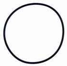 O-Ring für Standrohr (Ventil) 300919-5