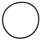 O-Ring (OKU Ventil) 300919-2