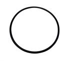 O-Ring für Klarsichteinsatz für Speck BADU Top II und alle Gamma Poolpumpe