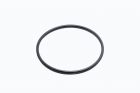 O-Ring für Klarsichteinsatz für OKU Aqua Plus (Timer) / Aqua Vario Plus / Splash / Speck BADU Magic II / Picco II 5 / Alpha / Alpha Eco Soft Poolpumpe